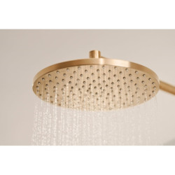 Hlavová sprcha Hansa Viva na stěnu včetně sprchového ramena broušený bronz 4426020081