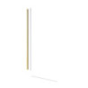 Sprchová zástěna walk-in 120 cm SAT SATBWI120MPPRMO