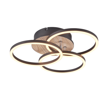LED stropní osvětlení Reality Circle dřevodekor R62823135