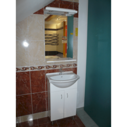 Koupelnová skříňka s umyvadlem Multi Pro 52x41,2 cm bílá PRO50NOVA