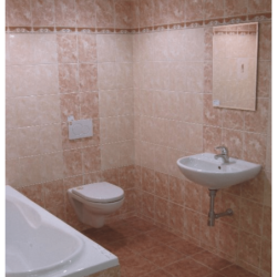 Zrcadlo s fazetou Multi 40x60 cm ZOB6040F