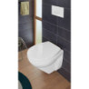 Villeroy & Boch ViConnect toaletní ovládací tlačítko, Dual flush, Bílá  92218068