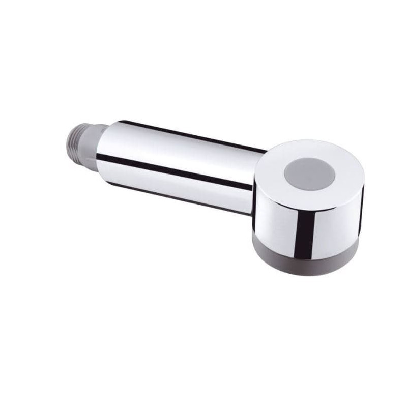 Hansgrohe Talis S Sprchová hlavice 97999000
