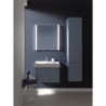 Koupelnová skříňka pod umyvadlo Laufen Pro S 66,5x39x45 cm dub H4834520964791