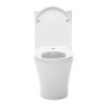 WC kombi komplet SAT Brevis včetně prkénka softclose, vario odpad SATBRE030RREXVP