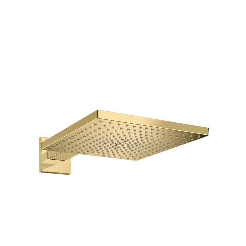 Hlavová sprcha Hansgrohe Raindance E na stěnu lesklá zlatá 26238990