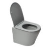 Wc závěsné SAT Infinitio včetně prkénka softclose, šedá mat, zadní odpad SATINF010RREXPLGRM