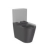 Wc kombi, pouze mísa Roca Inspira Onix mat vario odpad A342526640