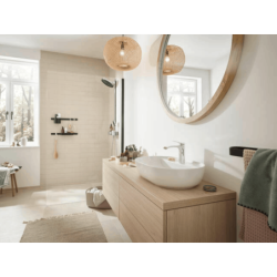 Háček Hansgrohe WallStoris matná černá 27914670