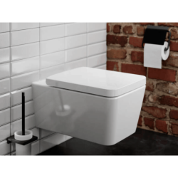 Wc štětka Hansgrohe AddStoris matná černá 41752670