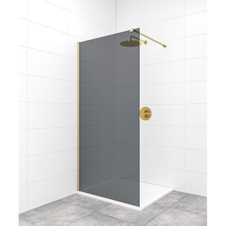 Sprchová zástěna walk-in 140 cm SAT Walk-In SATBWI140KSPRMO