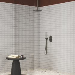 Ruční sprcha Ravak Espirit/Eleganta grafit kartáčovaný X07P694