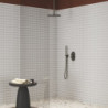 Ruční sprcha Ravak Espirit/Eleganta grafit kartáčovaný X07P694