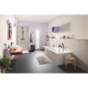 Držák ručníků GROHE Start Accessories černá 411742430