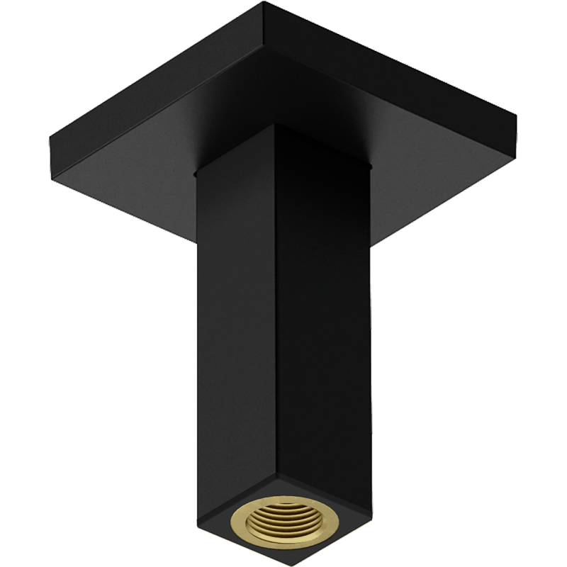 Sprchové rameno Hansgrohe na strop matná černá 24338670