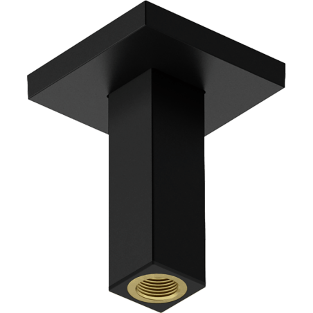 Sprchové rameno Hansgrohe na strop matná černá 24338670