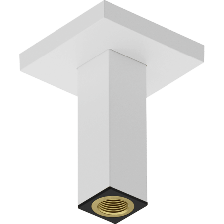 Sprchové rameno Hansgrohe na strop matná bílá 24338700