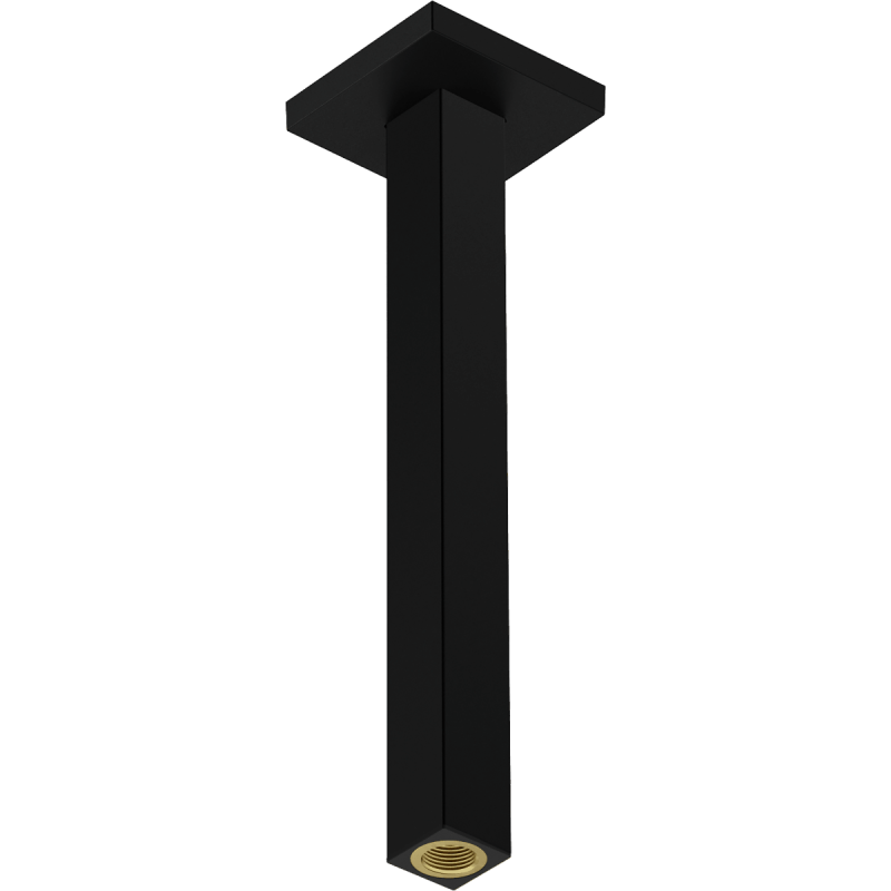 Sprchové rameno Hansgrohe na strop matná černá 24339670