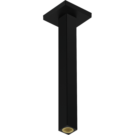 Sprchové rameno Hansgrohe na strop matná černá 24339670