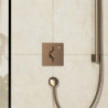 Sprchová baterie Hansgrohe DuoTurn E bez podomítkového tělesa kartáčovaný bronz 75617140