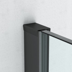 Sprchová zástěna walk-in 60 cm Roth Walk In Line AI TWF 060200 NPE